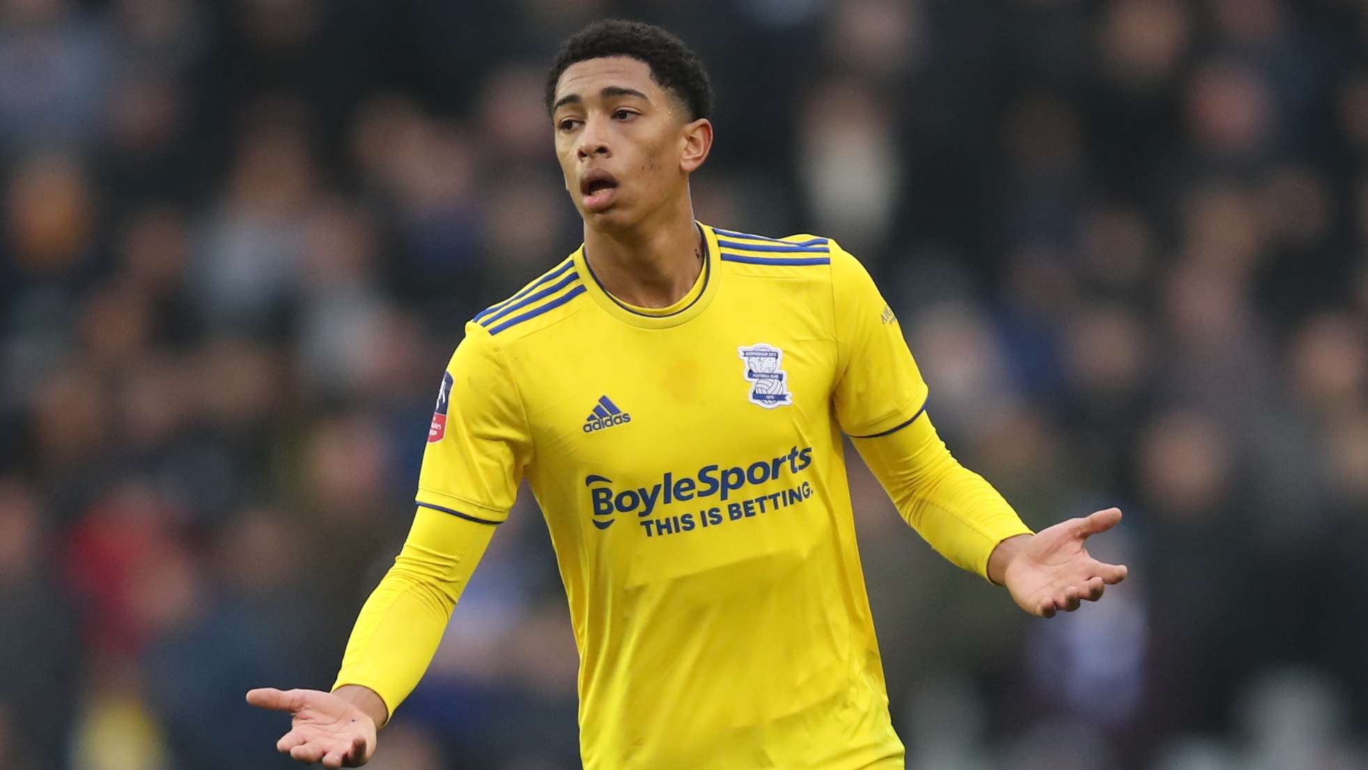 的举办城市 的举办城市