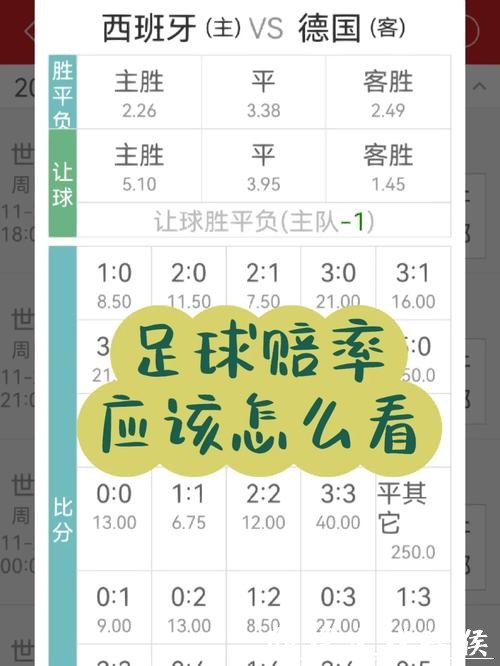世界杯下注APP：新手奖励政策全面解析